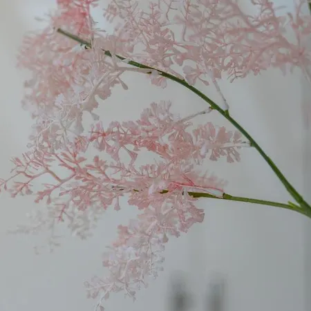 Royal Pet-friendly By Renters Διαμέρισμα