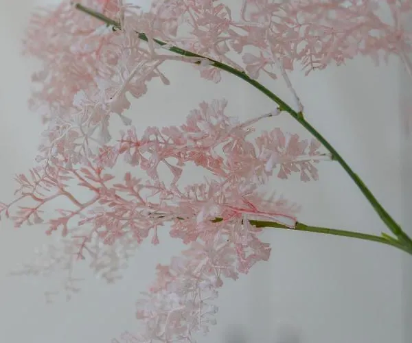 Royal Pet-friendly By Renters Appartamento